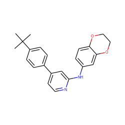 CC(C)(C)c1ccc(-c2ccnc(Nc3ccc4c(c3)OCCO4)c2)cc1 ZINC000014974014