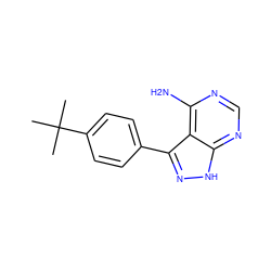 CC(C)(C)c1ccc(-c2n[nH]c3ncnc(N)c23)cc1 ZINC000008581885