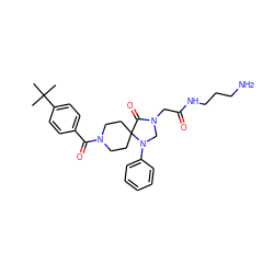 CC(C)(C)c1ccc(C(=O)N2CCC3(CC2)C(=O)N(CC(=O)NCCCN)CN3c2ccccc2)cc1 ZINC000066260021