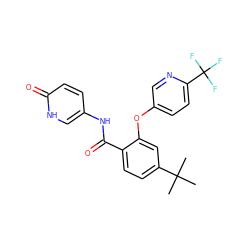 CC(C)(C)c1ccc(C(=O)Nc2ccc(=O)[nH]c2)c(Oc2ccc(C(F)(F)F)nc2)c1 ZINC000143174935