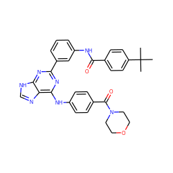 CC(C)(C)c1ccc(C(=O)Nc2cccc(-c3nc(Nc4ccc(C(=O)N5CCOCC5)cc4)c4nc[nH]c4n3)c2)cc1 ZINC000169341167