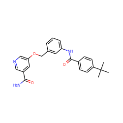 CC(C)(C)c1ccc(C(=O)Nc2cccc(COc3cncc(C(N)=O)c3)c2)cc1 ZINC000653916369