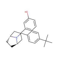 CC(C)(C)c1ccc(CN2[C@@H]3CC[C@@H]2CC(c2cccc(O)c2)C3)cc1 ZINC001772600093