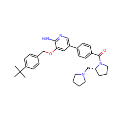 CC(C)(C)c1ccc(COc2cc(-c3ccc(C(=O)N4CCC[C@@H]4CN4CCCC4)cc3)cnc2N)cc1 ZINC000072183038