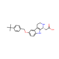 CC(C)(C)c1ccc(COc2ccc3[nH]c4c(c3c2)CCN[C@@H]4CC(=O)O)cc1 ZINC000115190817