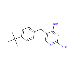 CC(C)(C)c1ccc(Cc2cnc(N)nc2N)cc1 ZINC000019729612