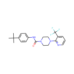 CC(C)(C)c1ccc(NC(=O)N2CCN(c3ncccc3C(F)(F)F)CC2)cc1 ZINC000013553798