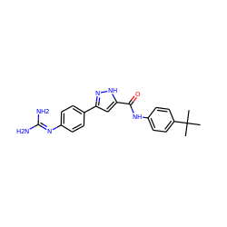 CC(C)(C)c1ccc(NC(=O)c2cc(-c3ccc(N=C(N)N)cc3)n[nH]2)cc1 ZINC000222131794