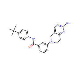 CC(C)(C)c1ccc(NC(=O)c2cccc(N3CCc4nc(N)ncc4C3)c2)cc1 ZINC000169710041