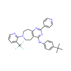 CC(C)(C)c1ccc(Nc2nc(-c3ccncc3)nc3c2CCN(c2ncccc2C(F)(F)F)CC3)cc1 ZINC000145060568