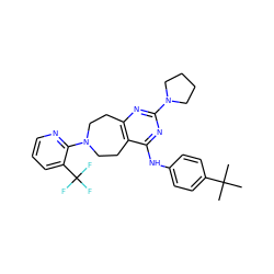 CC(C)(C)c1ccc(Nc2nc(N3CCCC3)nc3c2CCN(c2ncccc2C(F)(F)F)CC3)cc1 ZINC000145185886