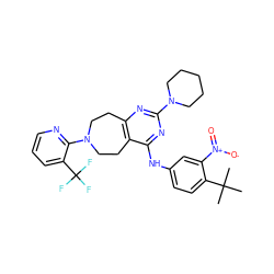 CC(C)(C)c1ccc(Nc2nc(N3CCCCC3)nc3c2CCN(c2ncccc2C(F)(F)F)CC3)cc1[N+](=O)[O-] ZINC000043173947