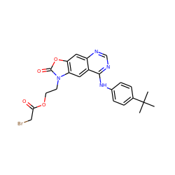 CC(C)(C)c1ccc(Nc2ncnc3cc4oc(=O)n(CCOC(=O)CBr)c4cc23)cc1 ZINC001772641490