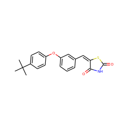 CC(C)(C)c1ccc(Oc2cccc(/C=C3/SC(=O)NC3=O)c2)cc1 ZINC000028703307