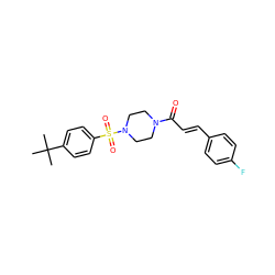 CC(C)(C)c1ccc(S(=O)(=O)N2CCN(C(=O)/C=C/c3ccc(F)cc3)CC2)cc1 ZINC000206370951