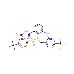 CC(C)(C)c1ccc(S(=O)(=O)N2Cc3ccc(C(F)(F)F)nc3Nc3cccc(-c4noc(=O)[nH]4)c32)cc1 ZINC000095553945