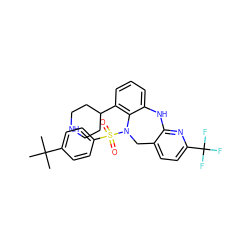 CC(C)(C)c1ccc(S(=O)(=O)N2Cc3ccc(C(F)(F)F)nc3Nc3cccc(C4CCNCC4)c32)cc1 ZINC000095556454