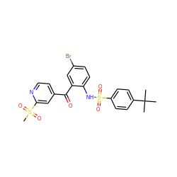 CC(C)(C)c1ccc(S(=O)(=O)Nc2ccc(Br)cc2C(=O)c2ccnc(S(C)(=O)=O)c2)cc1 ZINC000201668096