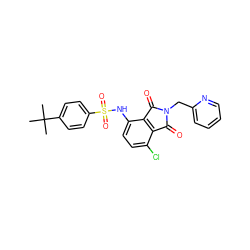 CC(C)(C)c1ccc(S(=O)(=O)Nc2ccc(Cl)c3c2C(=O)N(Cc2ccccn2)C3=O)cc1 ZINC000653850798