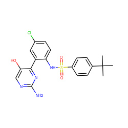 CC(C)(C)c1ccc(S(=O)(=O)Nc2ccc(Cl)cc2-c2nc(N)ncc2O)cc1 ZINC000474607807