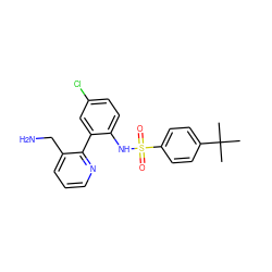 CC(C)(C)c1ccc(S(=O)(=O)Nc2ccc(Cl)cc2-c2ncccc2CN)cc1 ZINC000474608472