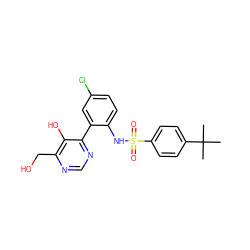 CC(C)(C)c1ccc(S(=O)(=O)Nc2ccc(Cl)cc2-c2ncnc(CO)c2O)cc1 ZINC000474605010