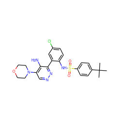 CC(C)(C)c1ccc(S(=O)(=O)Nc2ccc(Cl)cc2-c2nncc(N3CCOCC3)c2N)cc1 ZINC000474608997