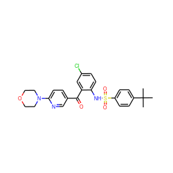 CC(C)(C)c1ccc(S(=O)(=O)Nc2ccc(Cl)cc2C(=O)c2ccc(N3CCOCC3)nc2)cc1 ZINC000113624662