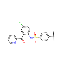 CC(C)(C)c1ccc(S(=O)(=O)Nc2ccc(Cl)cc2C(=O)c2ccccn2)cc1 ZINC000034207250