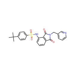 CC(C)(C)c1ccc(S(=O)(=O)Nc2cccc3c2C(=O)N(Cc2cccnc2)C3=O)cc1 ZINC000653850200