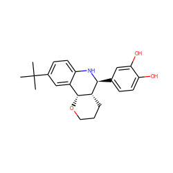 CC(C)(C)c1ccc2c(c1)[C@H]1OCCC[C@H]1[C@H](c1ccc(O)c(O)c1)N2 ZINC000049090037