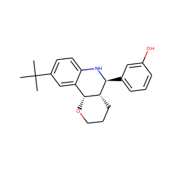 CC(C)(C)c1ccc2c(c1)[C@H]1OCCC[C@H]1[C@H](c1cccc(O)c1)N2 ZINC000049014687