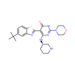 CC(C)(C)c1ccc2sc(-c3c(N[C@@H]4CCCNC4)nc(N4CCOCC4)[nH]c3=O)nc2c1 ZINC001772586740