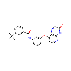 CC(C)(C)c1cccc(C(=O)Nc2cccc(Oc3ccnc4[nH]c(=O)cnc34)c2)c1 ZINC000058541552