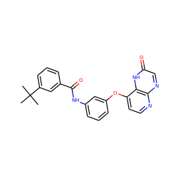 CC(C)(C)c1cccc(C(=O)Nc2cccc(Oc3ccnc4ncc(=O)[nH]c34)c2)c1 ZINC000058541093