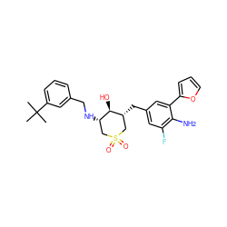 CC(C)(C)c1cccc(CN[C@H]2CS(=O)(=O)C[C@@H](Cc3cc(F)c(N)c(-c4ccco4)c3)[C@@H]2O)c1 ZINC000084654700