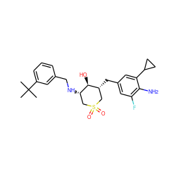 CC(C)(C)c1cccc(CN[C@H]2CS(=O)(=O)C[C@@H](Cc3cc(F)c(N)c(C4CC4)c3)[C@@H]2O)c1 ZINC000084654698