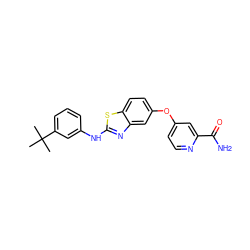 CC(C)(C)c1cccc(Nc2nc3cc(Oc4ccnc(C(N)=O)c4)ccc3s2)c1 ZINC000071334345