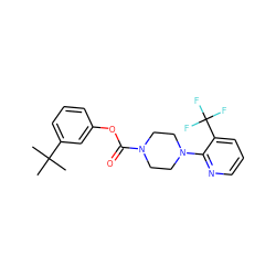 CC(C)(C)c1cccc(OC(=O)N2CCN(c3ncccc3C(F)(F)F)CC2)c1 ZINC000049021781