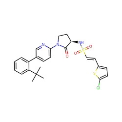 CC(C)(C)c1ccccc1-c1ccc(N2CC[C@@H](NS(=O)(=O)/C=C/c3ccc(Cl)s3)C2=O)nc1 ZINC000028979683