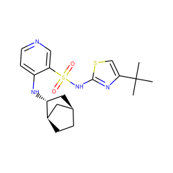 CC(C)(C)c1csc(NS(=O)(=O)c2cnccc2N[C@@H]2C[C@H]3CC[C@@H]2C3)n1 ZINC000071317756