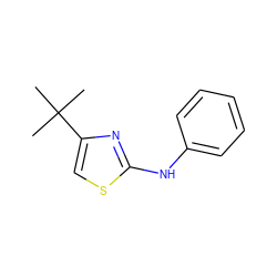 CC(C)(C)c1csc(Nc2ccccc2)n1 ZINC000002161671