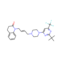 CC(C)(C)c1nc(N2CCN(C/C=C/CN3C(=O)CCc4ccccc43)CC2)cc(C(F)(F)F)n1 ZINC000028568327