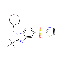 CC(C)(C)c1nc2cc(S(=O)(=O)c3nccs3)ccc2n1CC1CCOCC1 ZINC000029048147