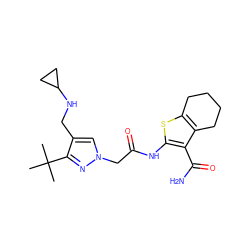 CC(C)(C)c1nn(CC(=O)Nc2sc3c(c2C(N)=O)CCCC3)cc1CNC1CC1 ZINC000064549555