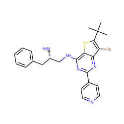 CC(C)(C)c1sc2c(NC[C@@H](N)Cc3ccccc3)nc(-c3ccncc3)nc2c1Br ZINC000223661827