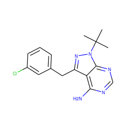 CC(C)(C)n1nc(Cc2cccc(Cl)c2)c2c(N)ncnc21 ZINC000095583191