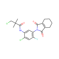 CC(C)(CCl)C(=O)Nc1cc(N2C(=O)C3=C(CCCC3)C2=O)c(F)cc1Cl ZINC000045299155