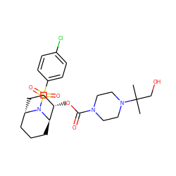 CC(C)(CO)N1CCN(C(=O)O[C@H]2CC[C@H]3CCC[C@H]2N3S(=O)(=O)c2ccc(Cl)cc2)CC1 ZINC000101145216