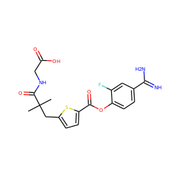 CC(C)(Cc1ccc(C(=O)Oc2ccc(C(=N)N)cc2F)s1)C(=O)NCC(=O)O ZINC000210437014